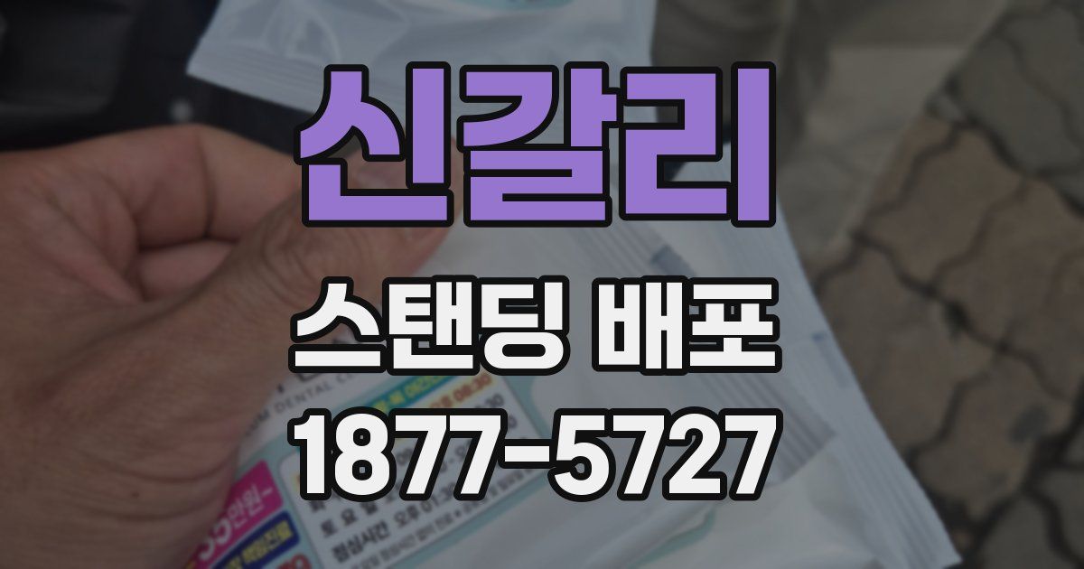 신갈리 스탠딩 배포