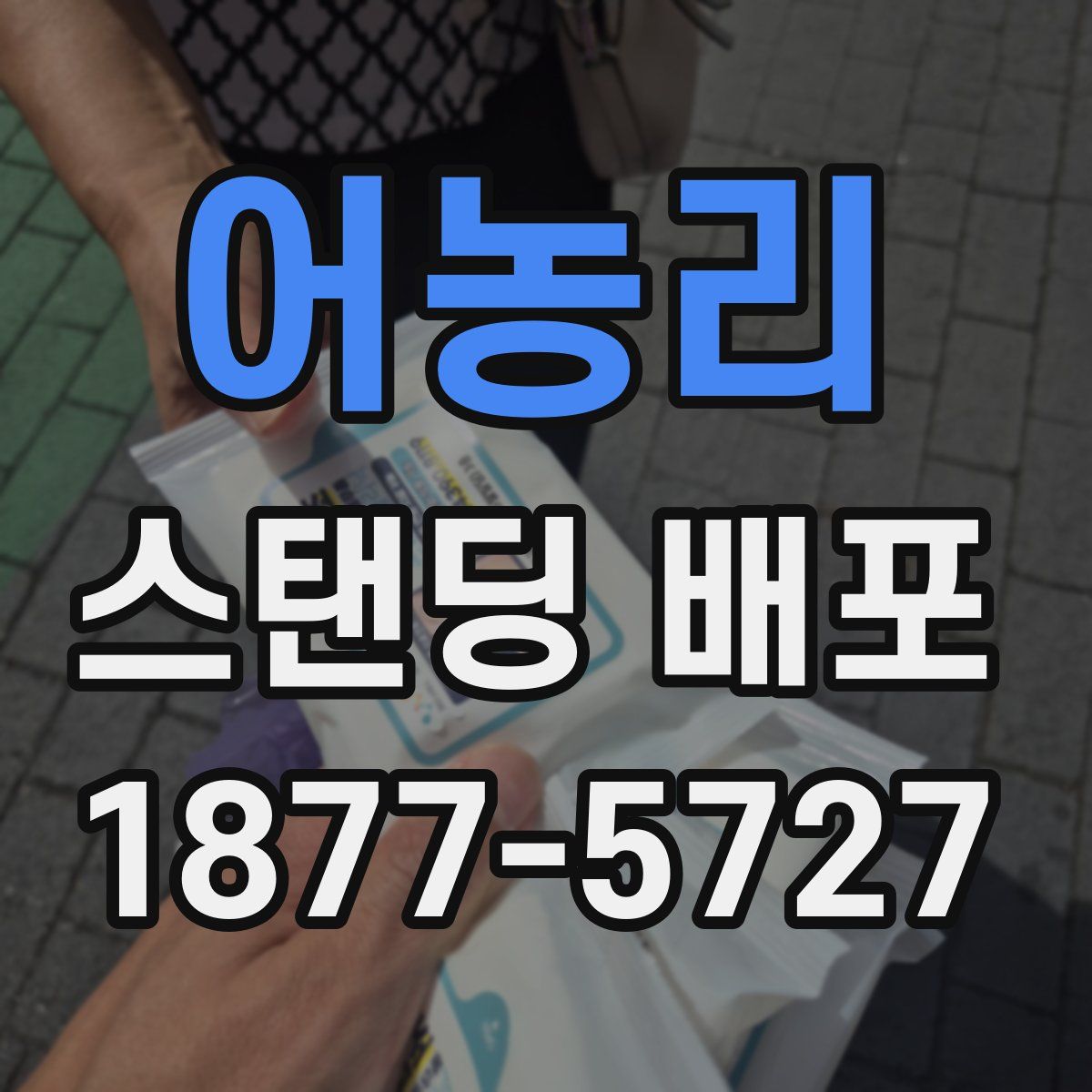 어농리 스탠딩 배포