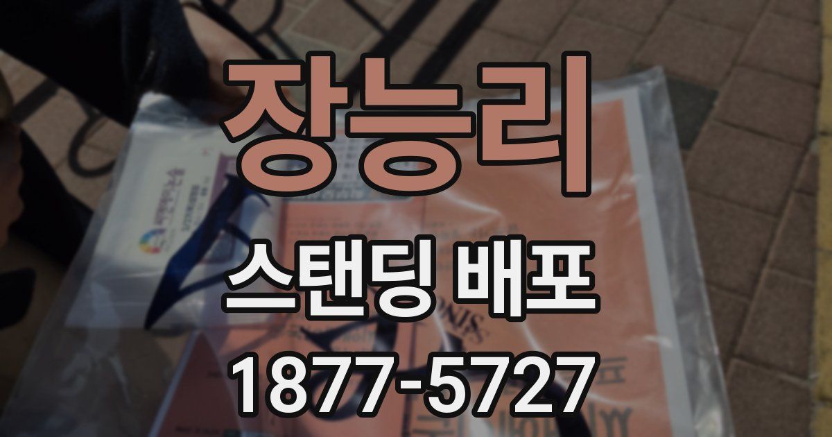 장능리 스탠딩 배포