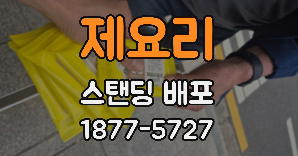 제요리 스탠딩 배포