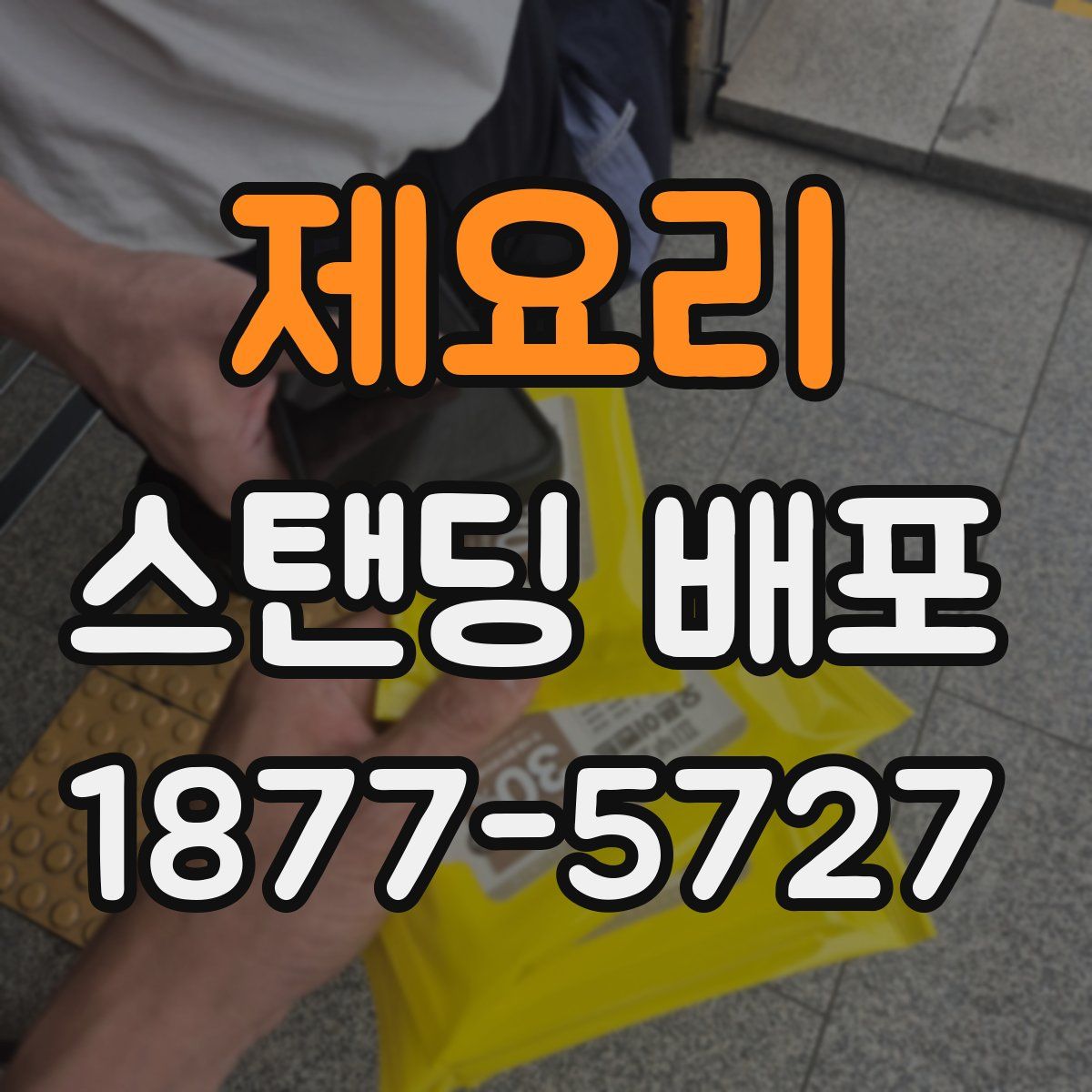 제요리 스탠딩 배포