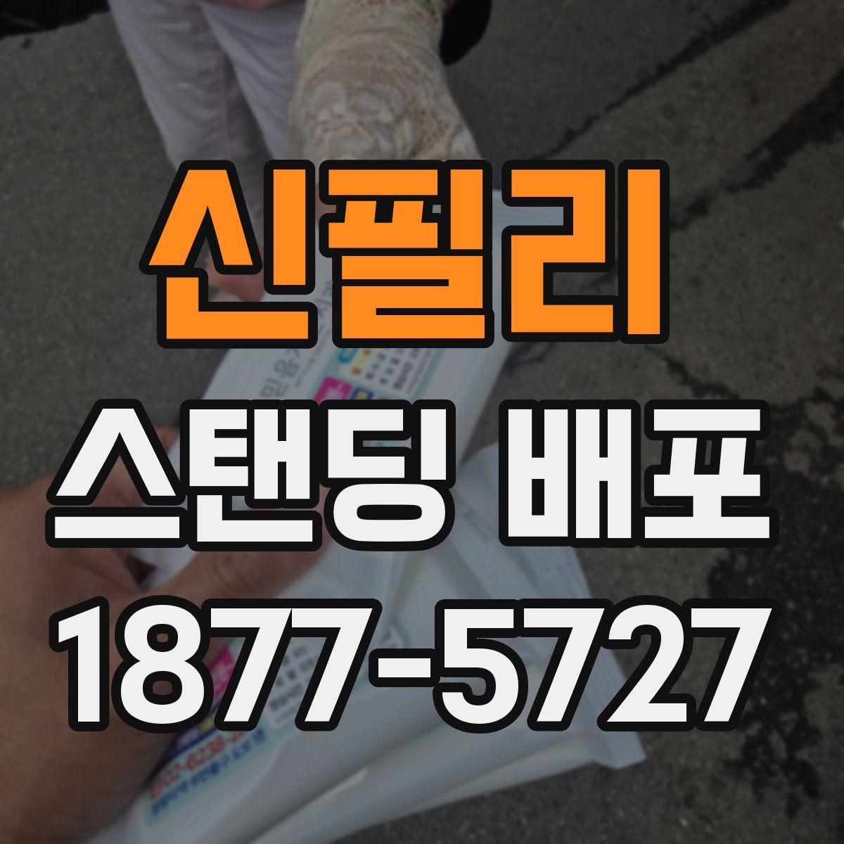 신필리 스탠딩 배포