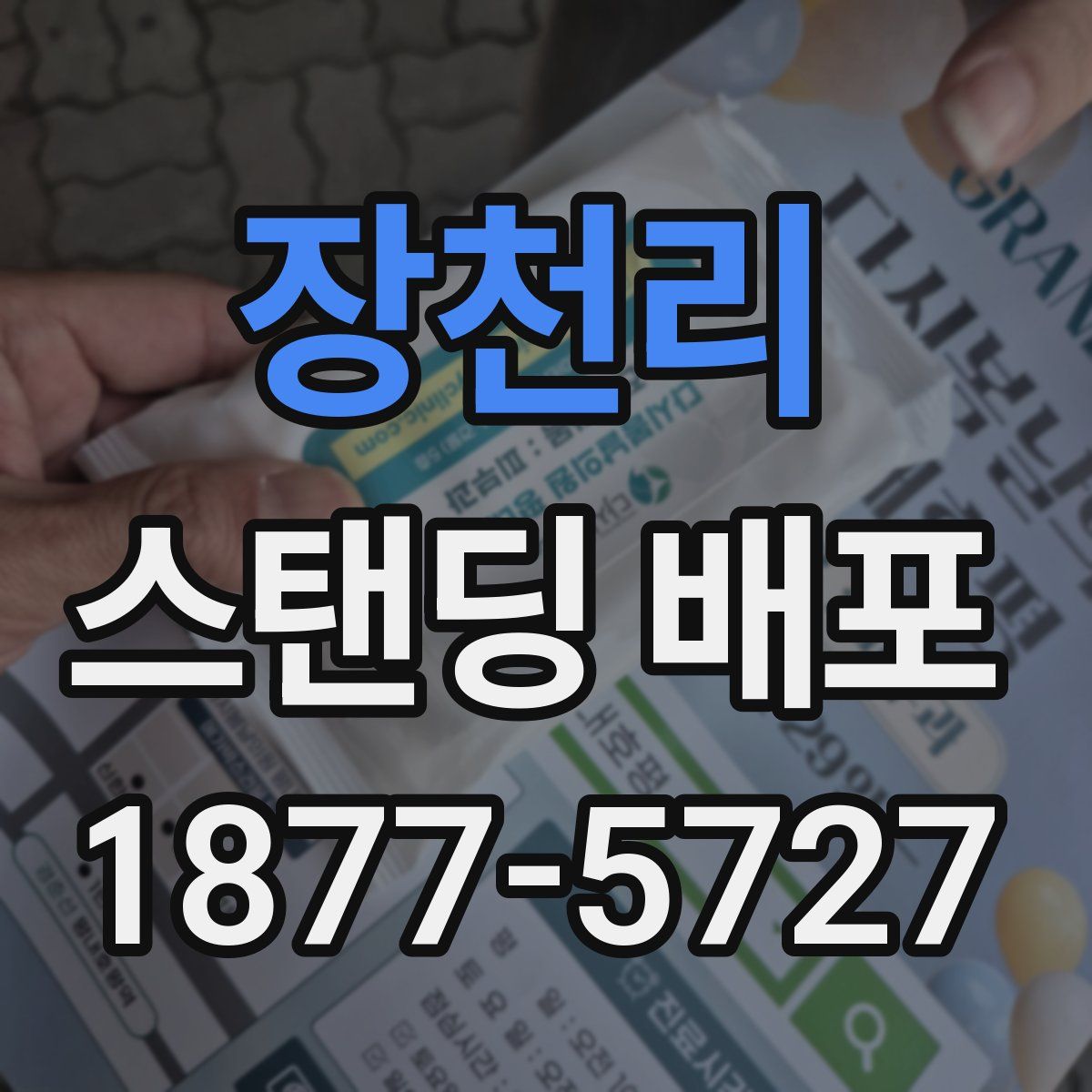 장천리 스탠딩 배포