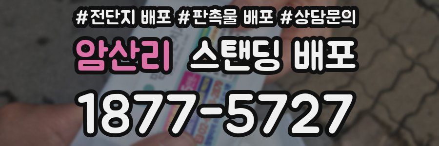 암산리 스탠딩 배포