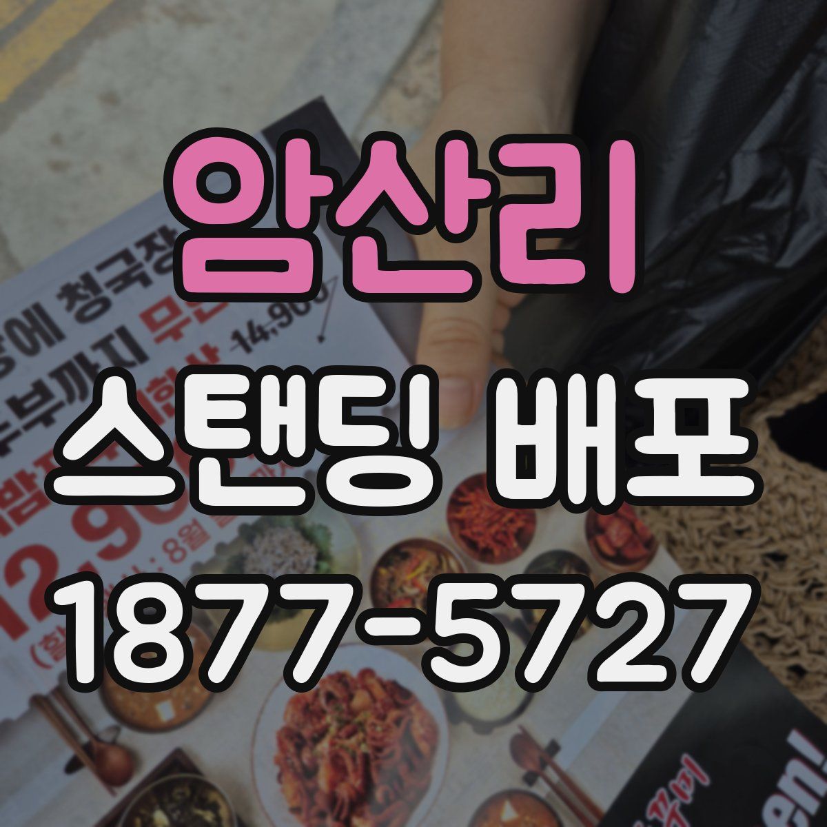 암산리 스탠딩 배포