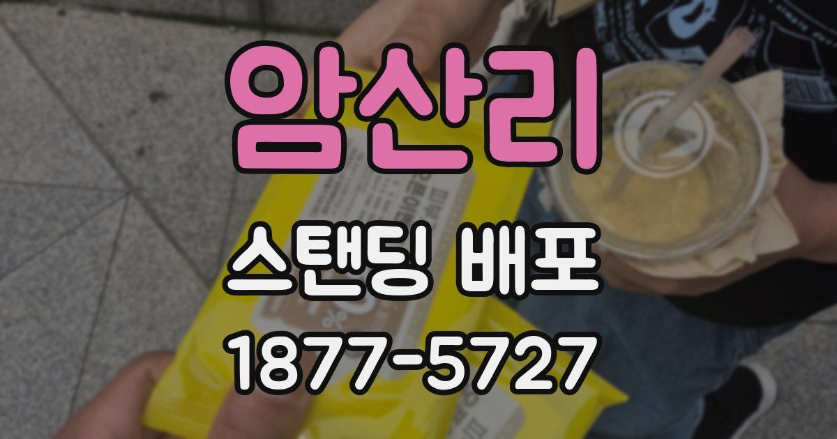 암산리 스탠딩 배포
