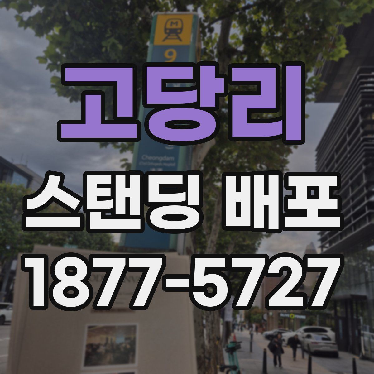 고당리 스탠딩 배포