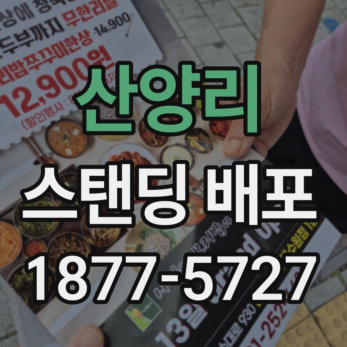 산양리 스탠딩 배포