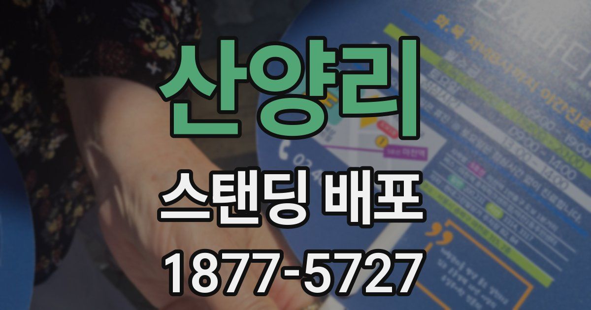 산양리 스탠딩 배포