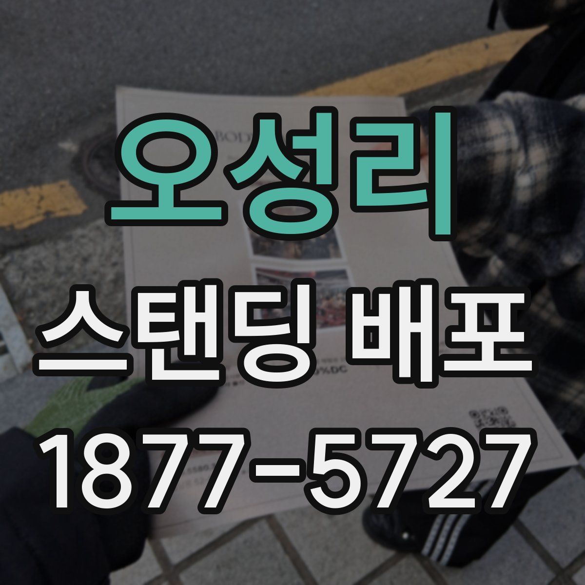 오성리 스탠딩 배포