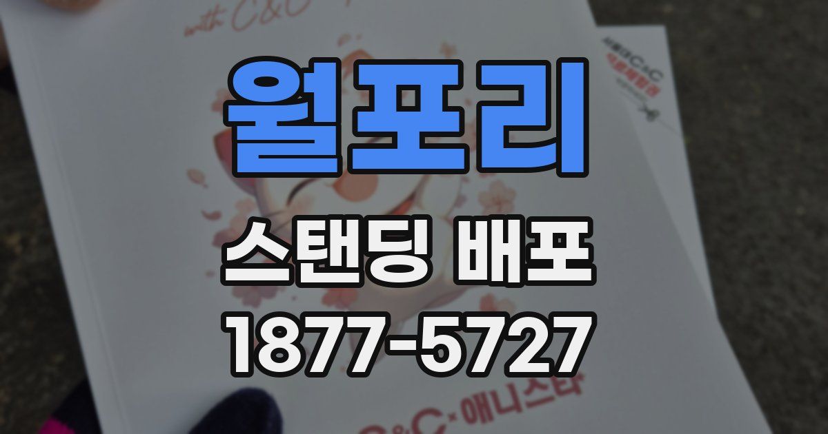 월포리 스탠딩 배포