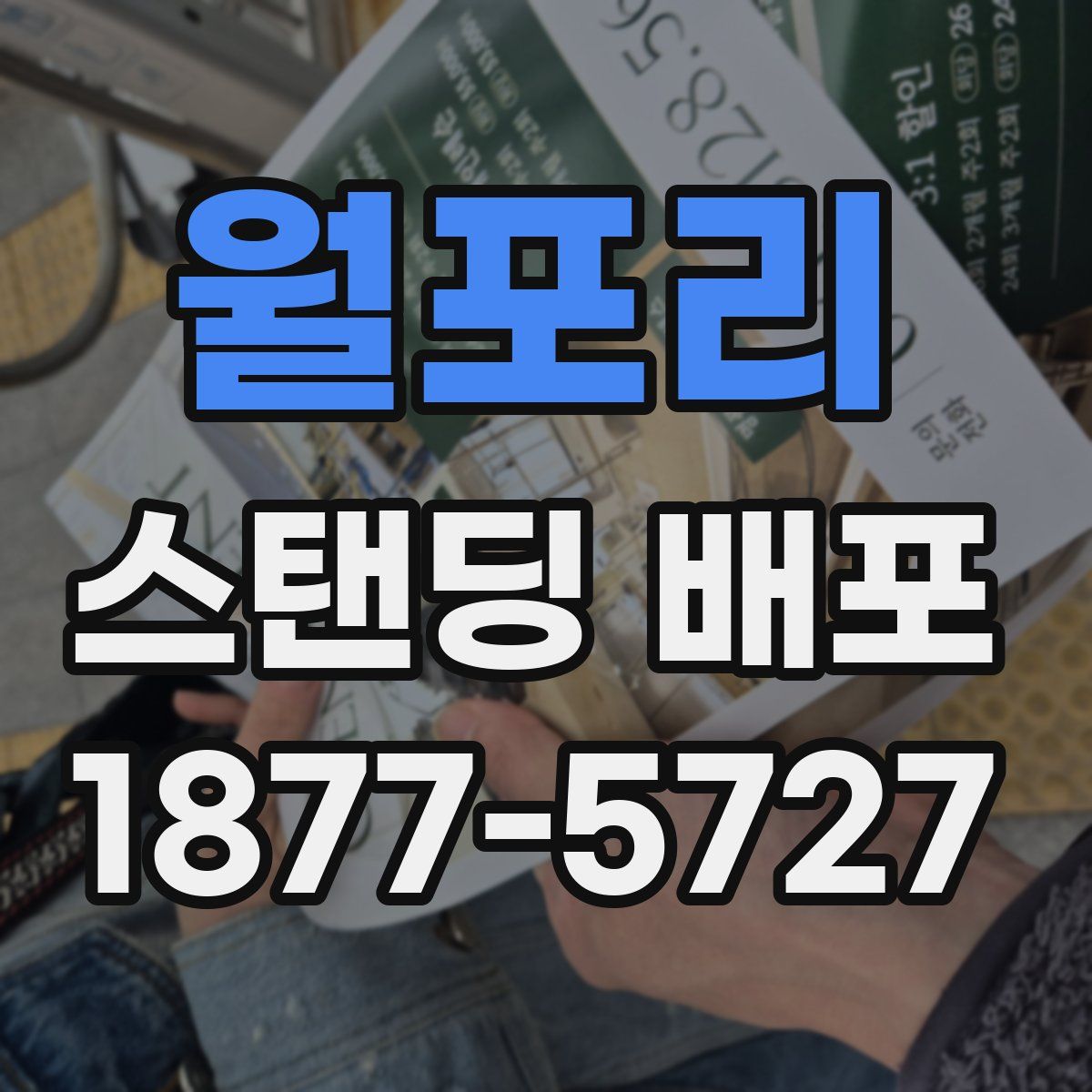 월포리 스탠딩 배포