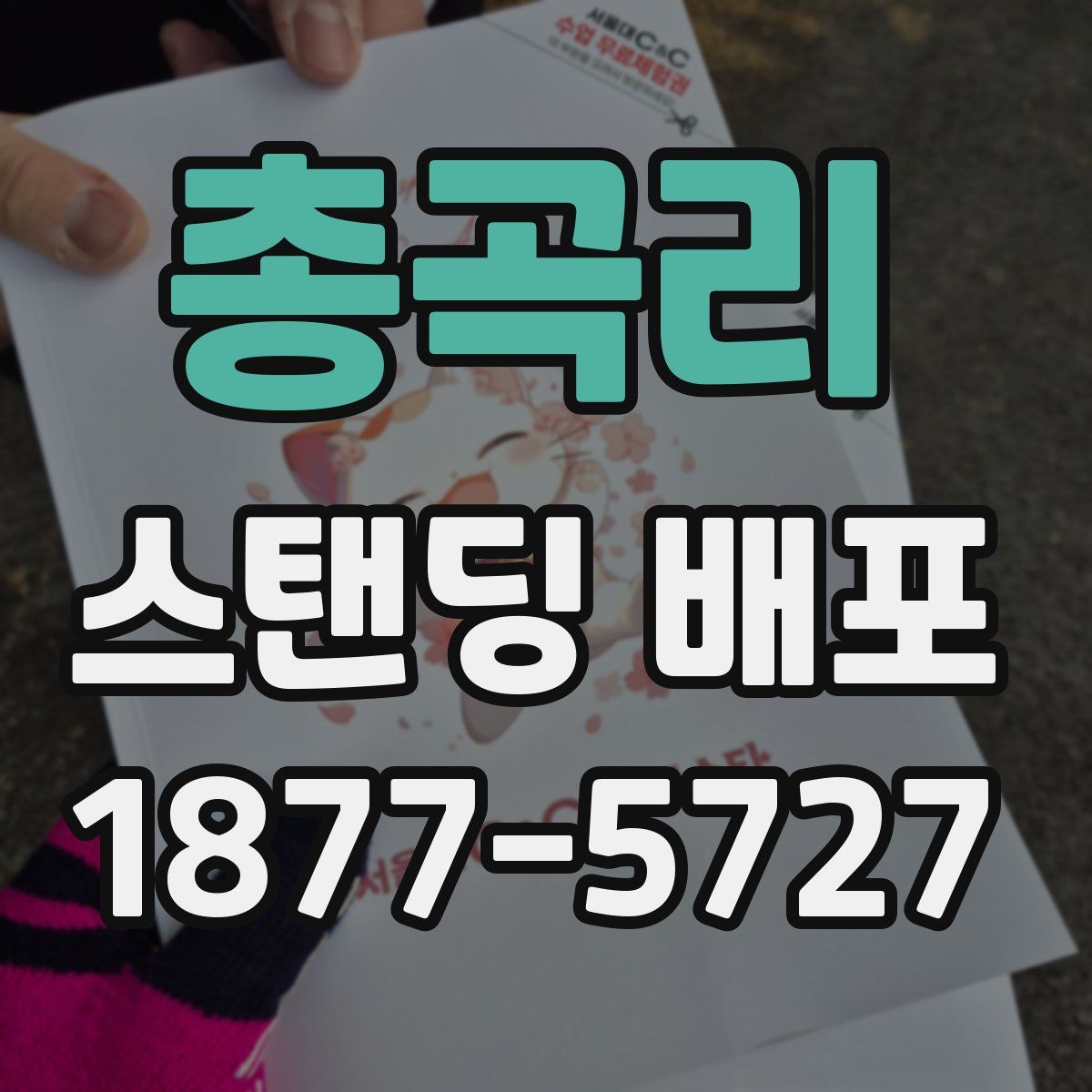 총곡리 스탠딩 배포