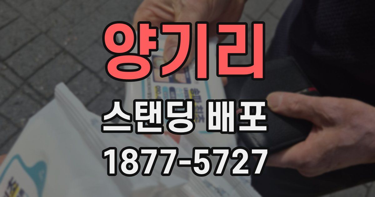 양기리 스탠딩 배포