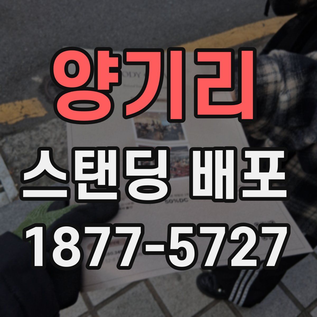 양기리 스탠딩 배포