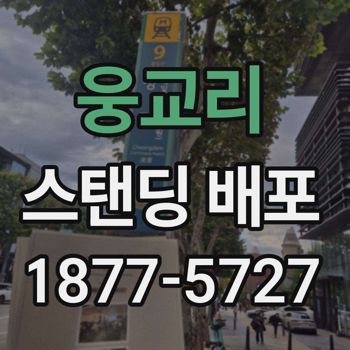 웅교리 스탠딩 배포