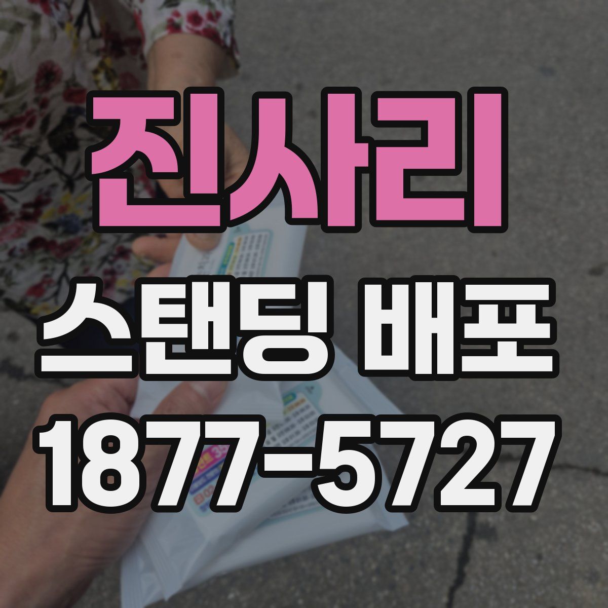 진사리 스탠딩 배포