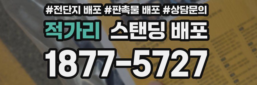 적가리 스탠딩 배포