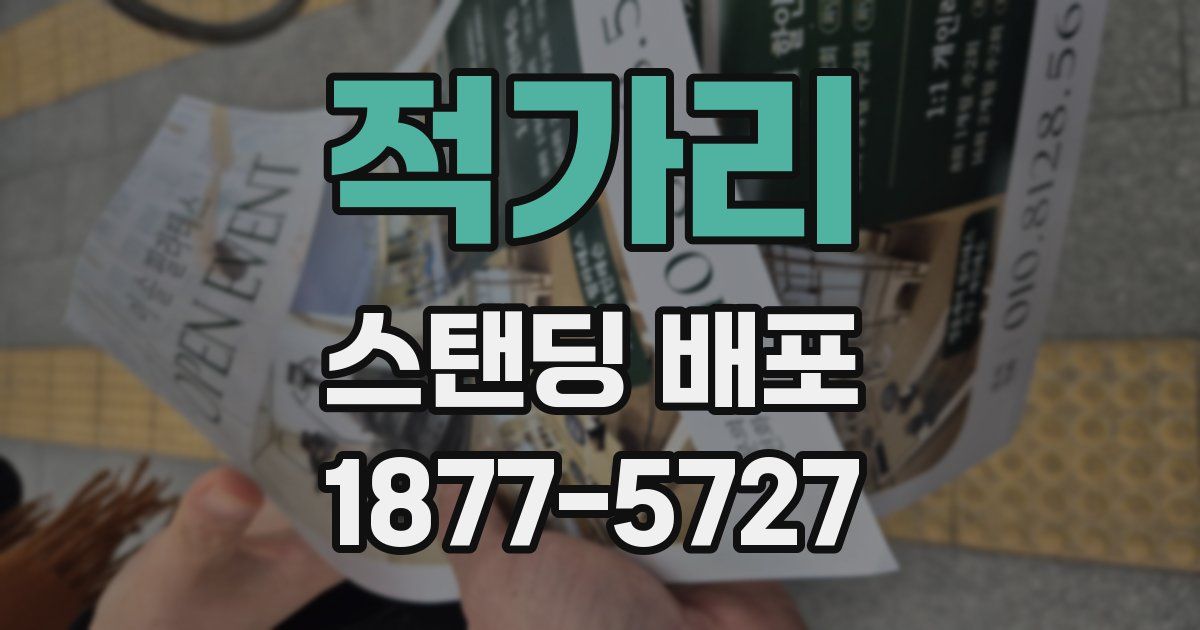 적가리 스탠딩 배포
