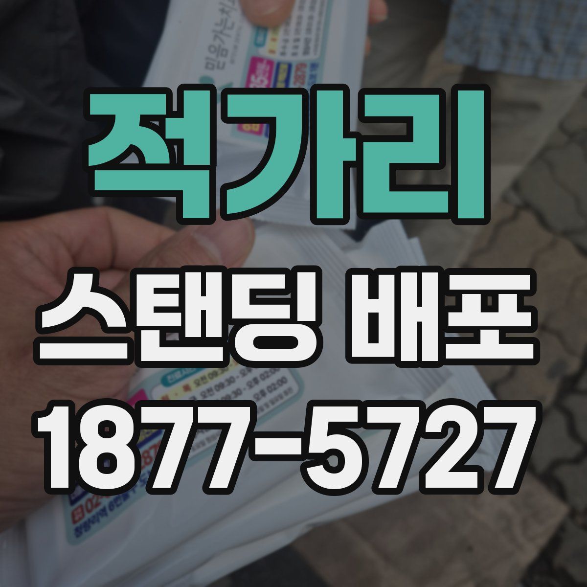적가리 스탠딩 배포