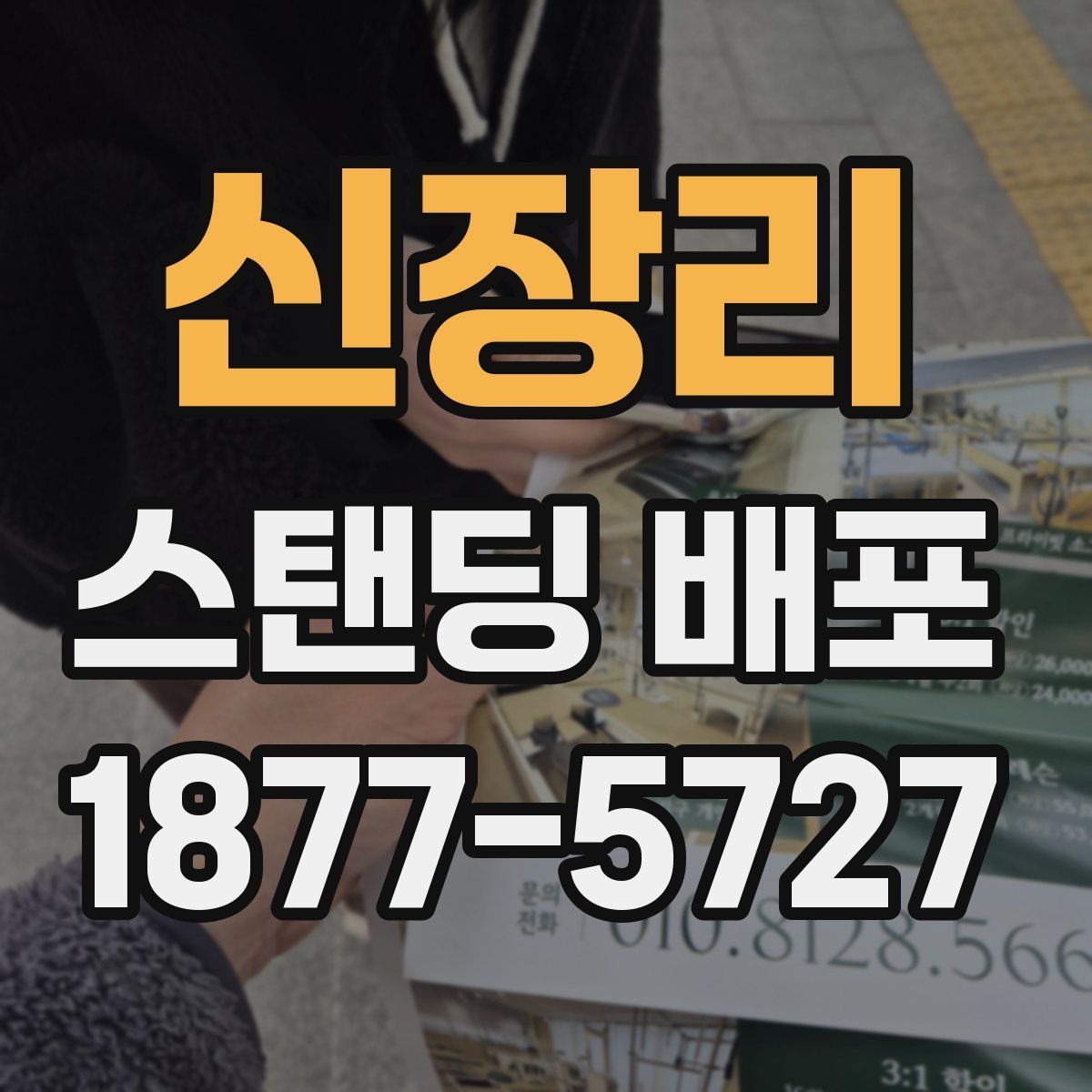 신장리 스탠딩 배포