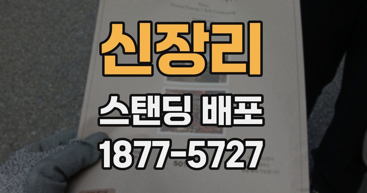 신장리 스탠딩 배포