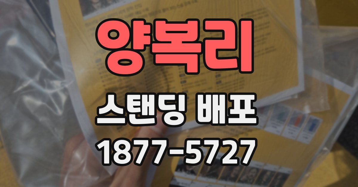 양복리 스탠딩 배포