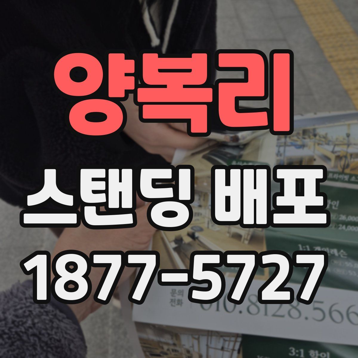 양복리 스탠딩 배포