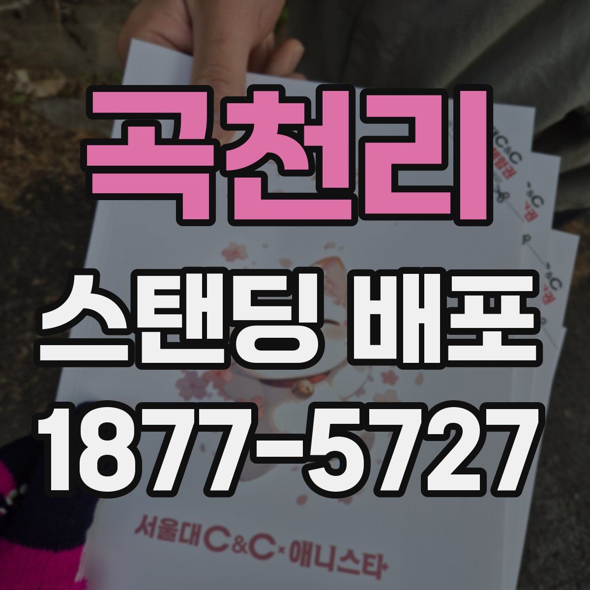 곡천리 스탠딩 배포