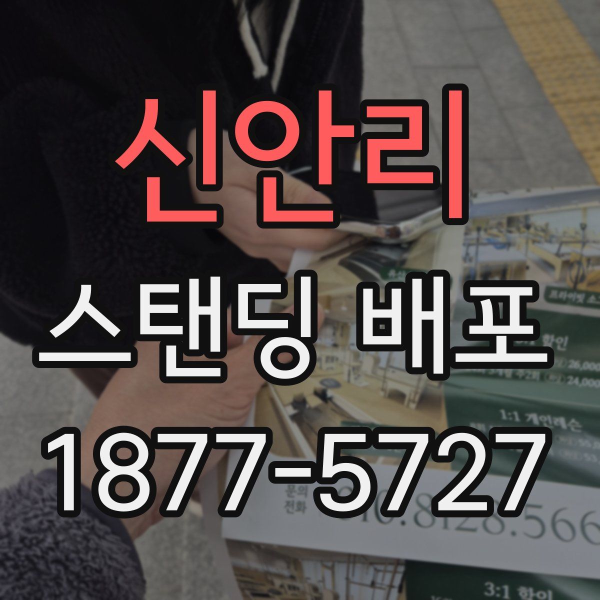신안리 스탠딩 배포