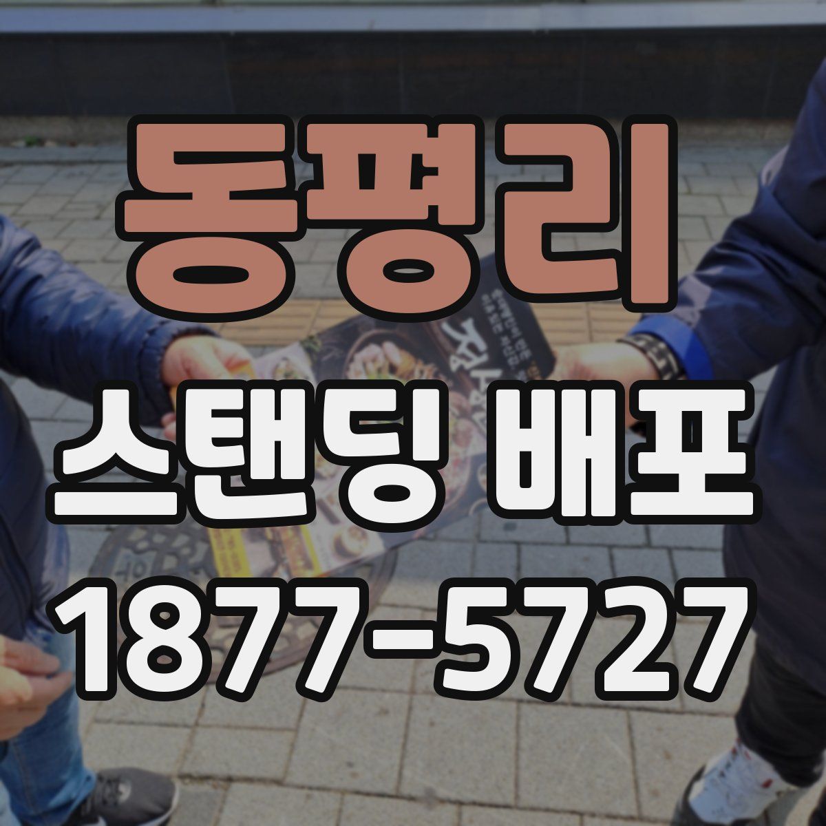 동평리 스탠딩 배포