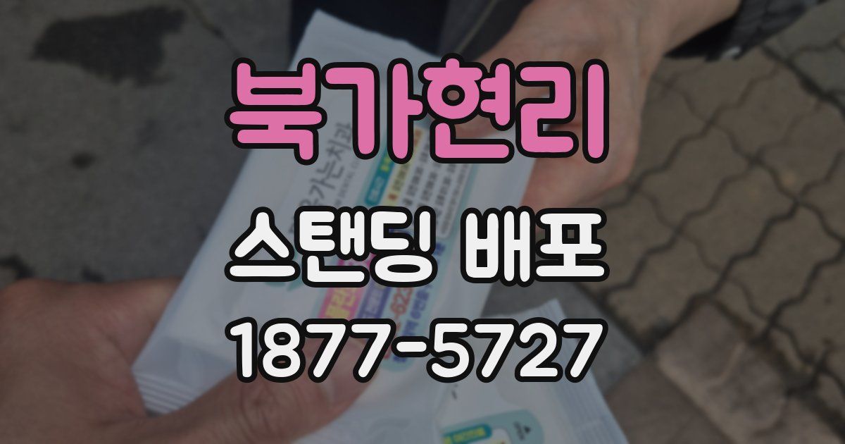 북가현리 스탠딩 배포