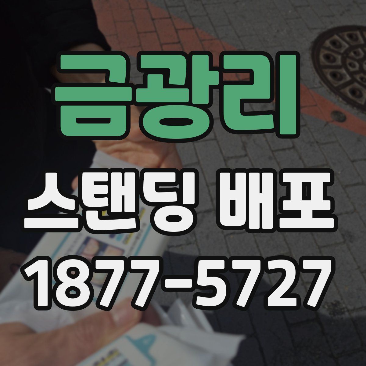 금광리 스탠딩 배포