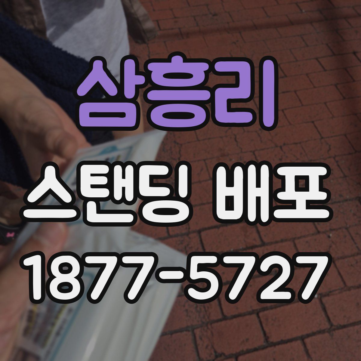 삼흥리 스탠딩 배포