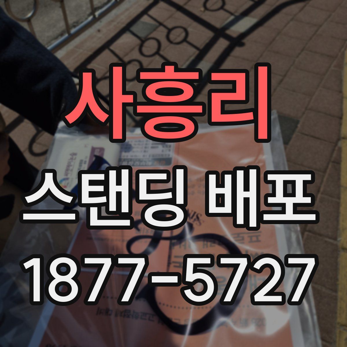 사흥리 스탠딩 배포