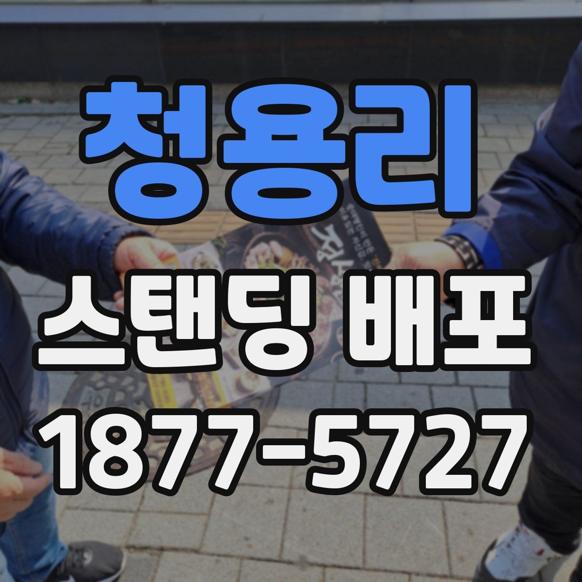 청용리 스탠딩 배포