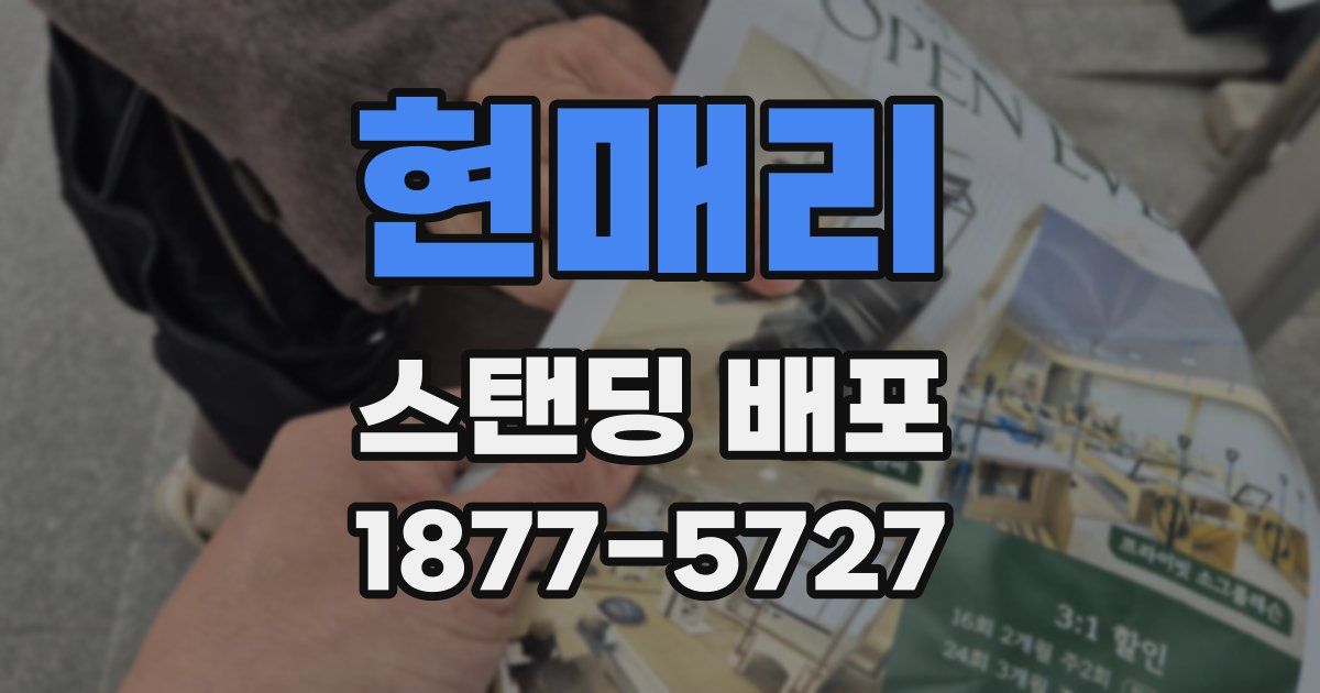 현매리 스탠딩 배포