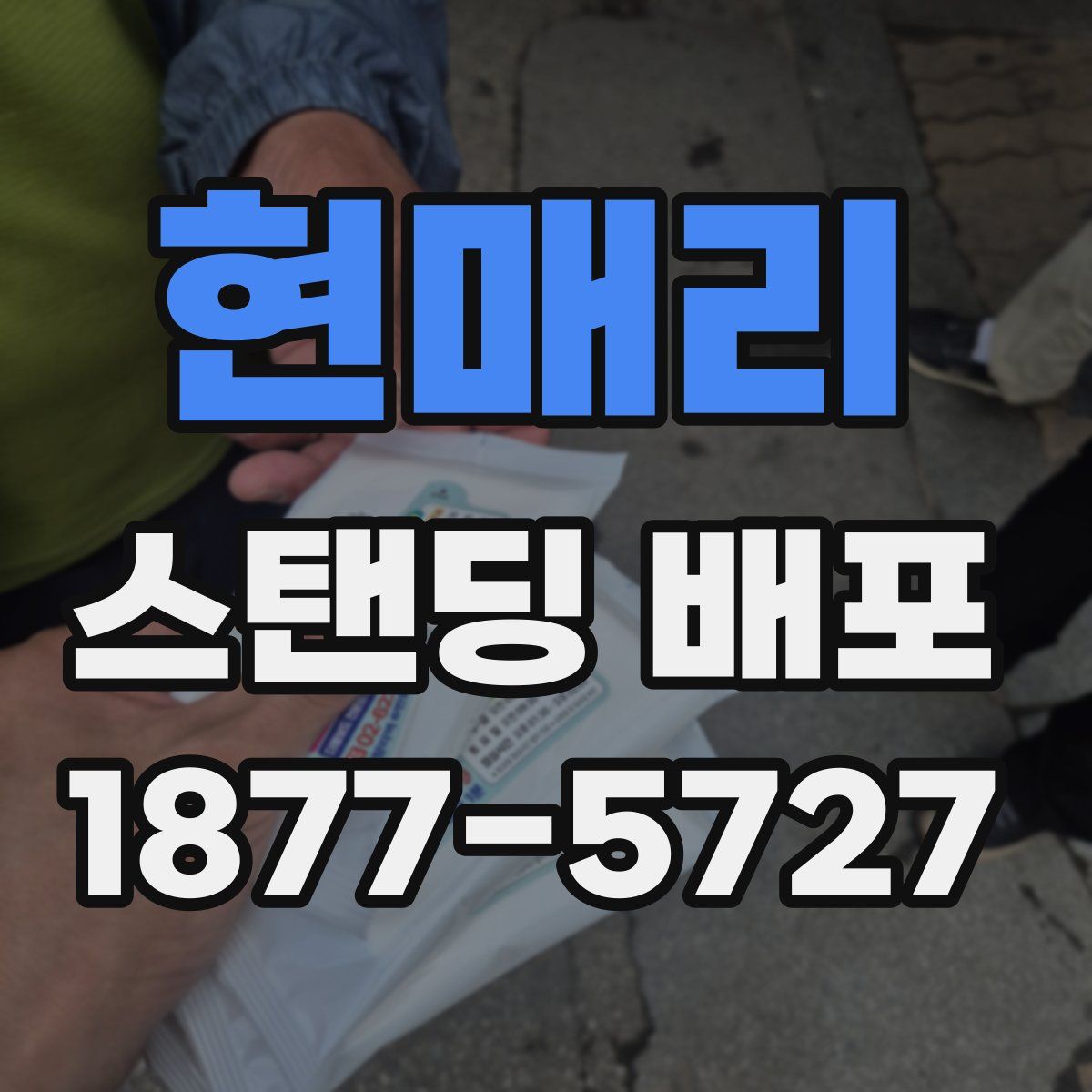 현매리 스탠딩 배포