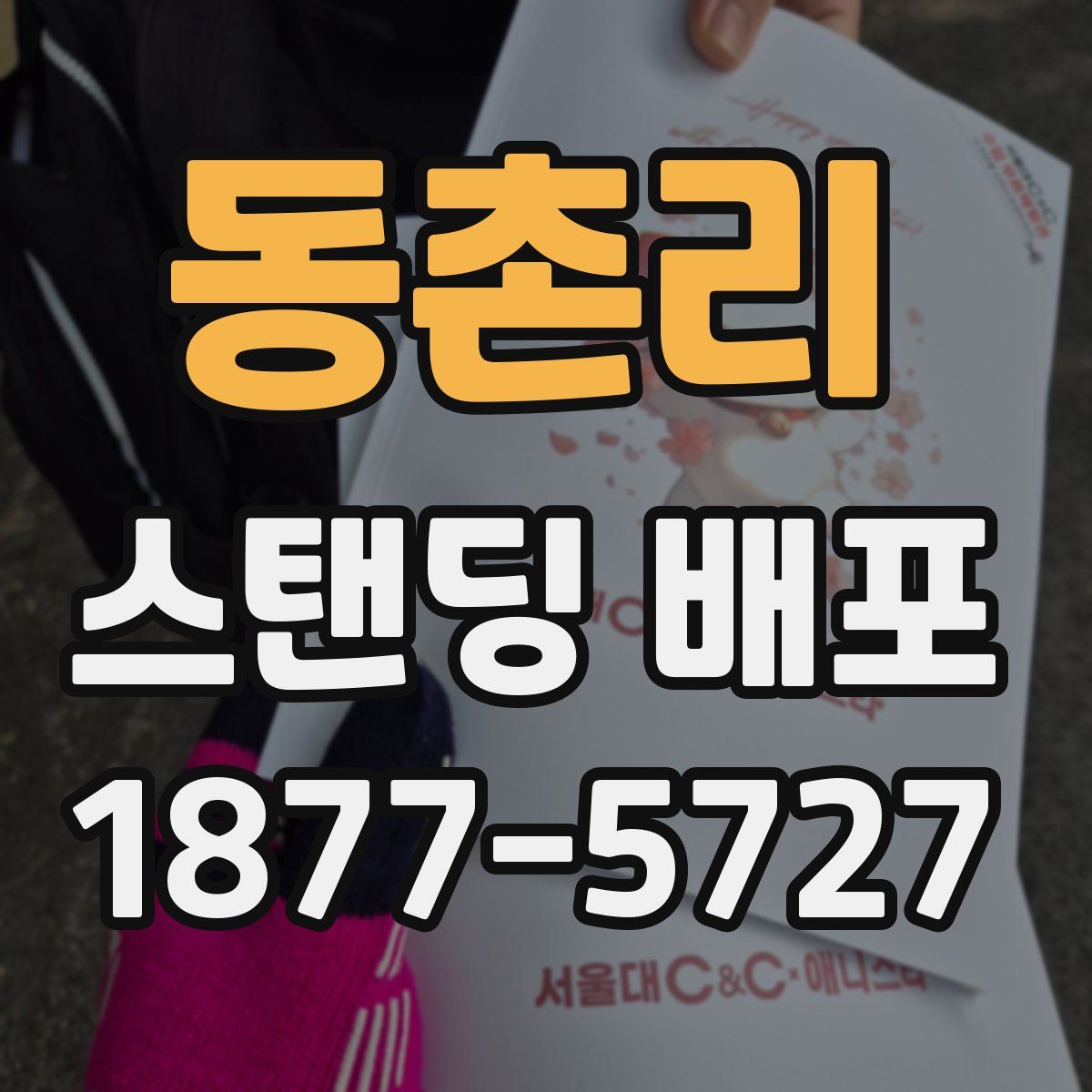 동촌리 스탠딩 배포