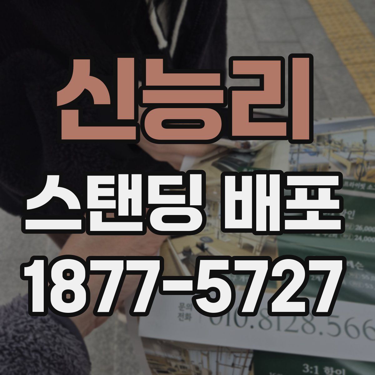 신능리 스탠딩 배포