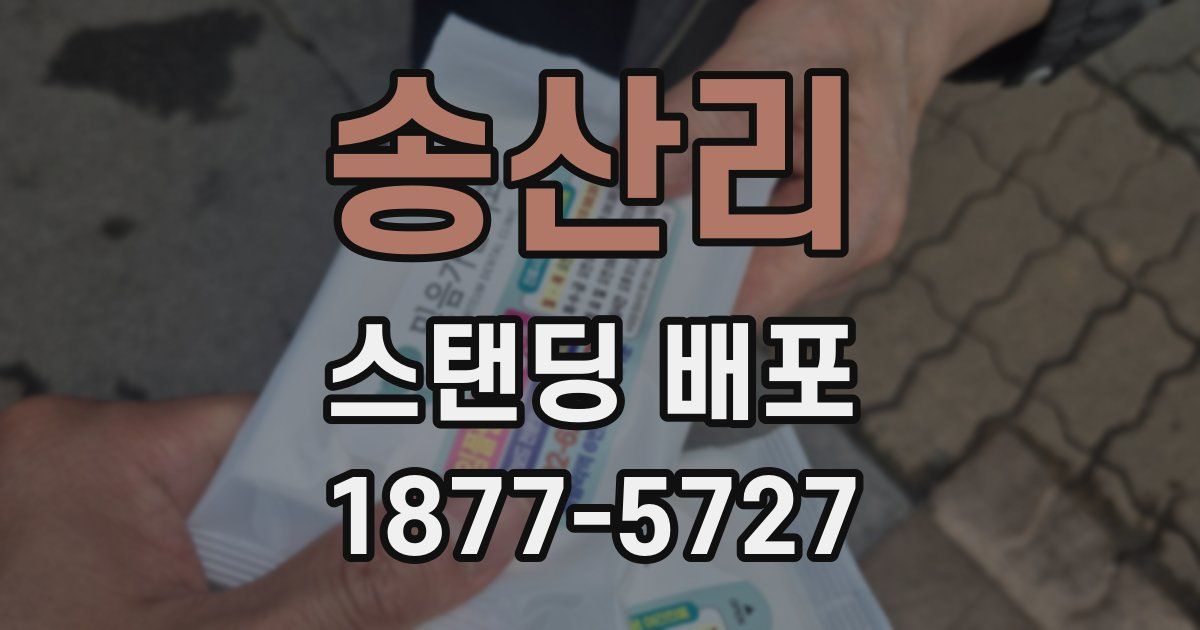 송산리 스탠딩 배포