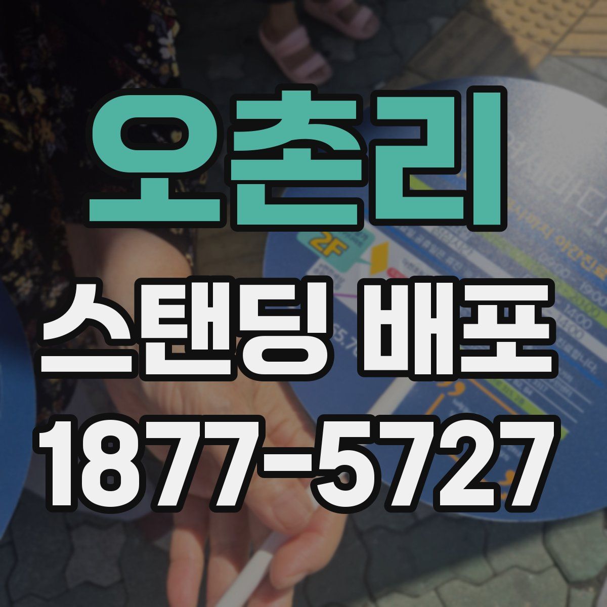오촌리 스탠딩 배포