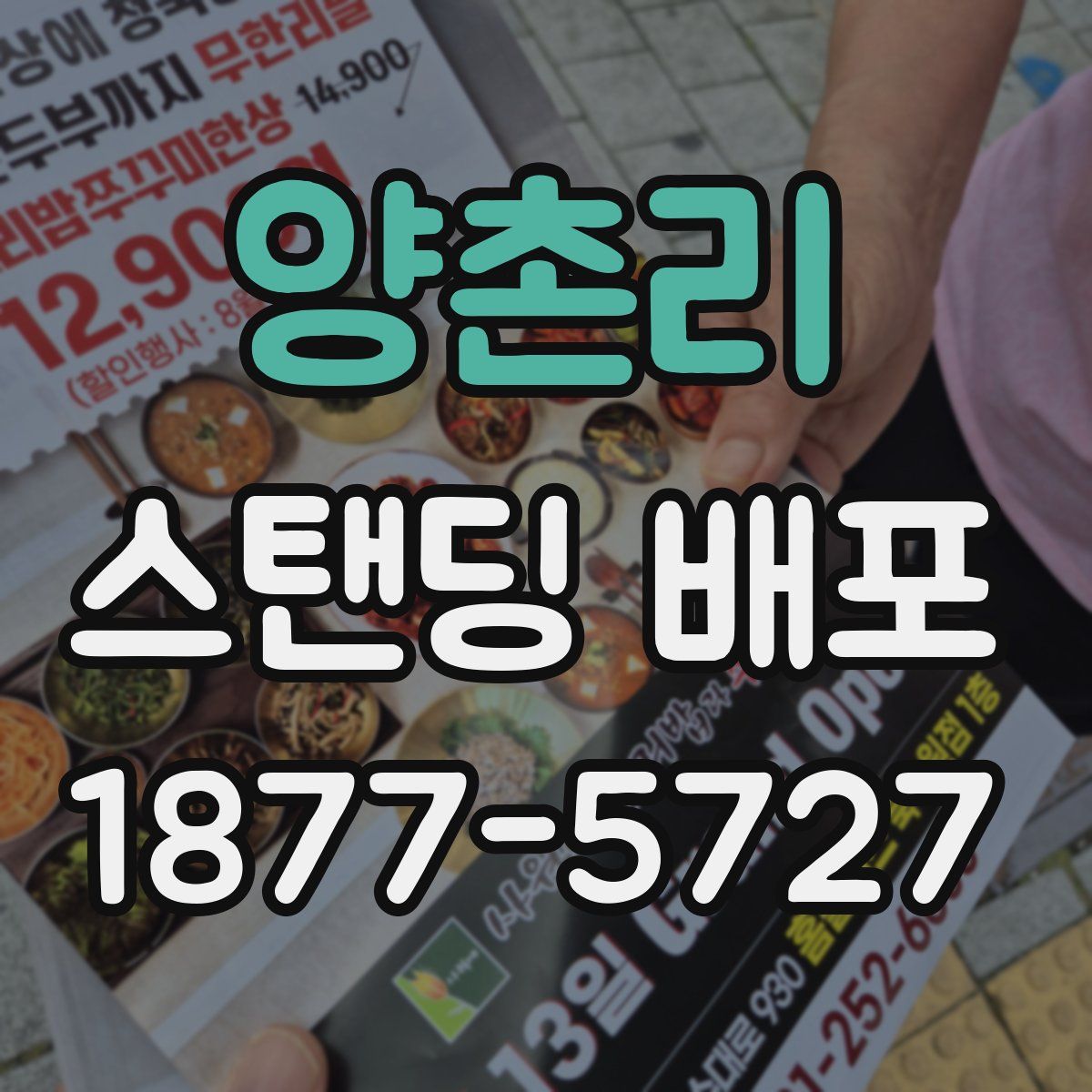 양촌리 스탠딩 배포