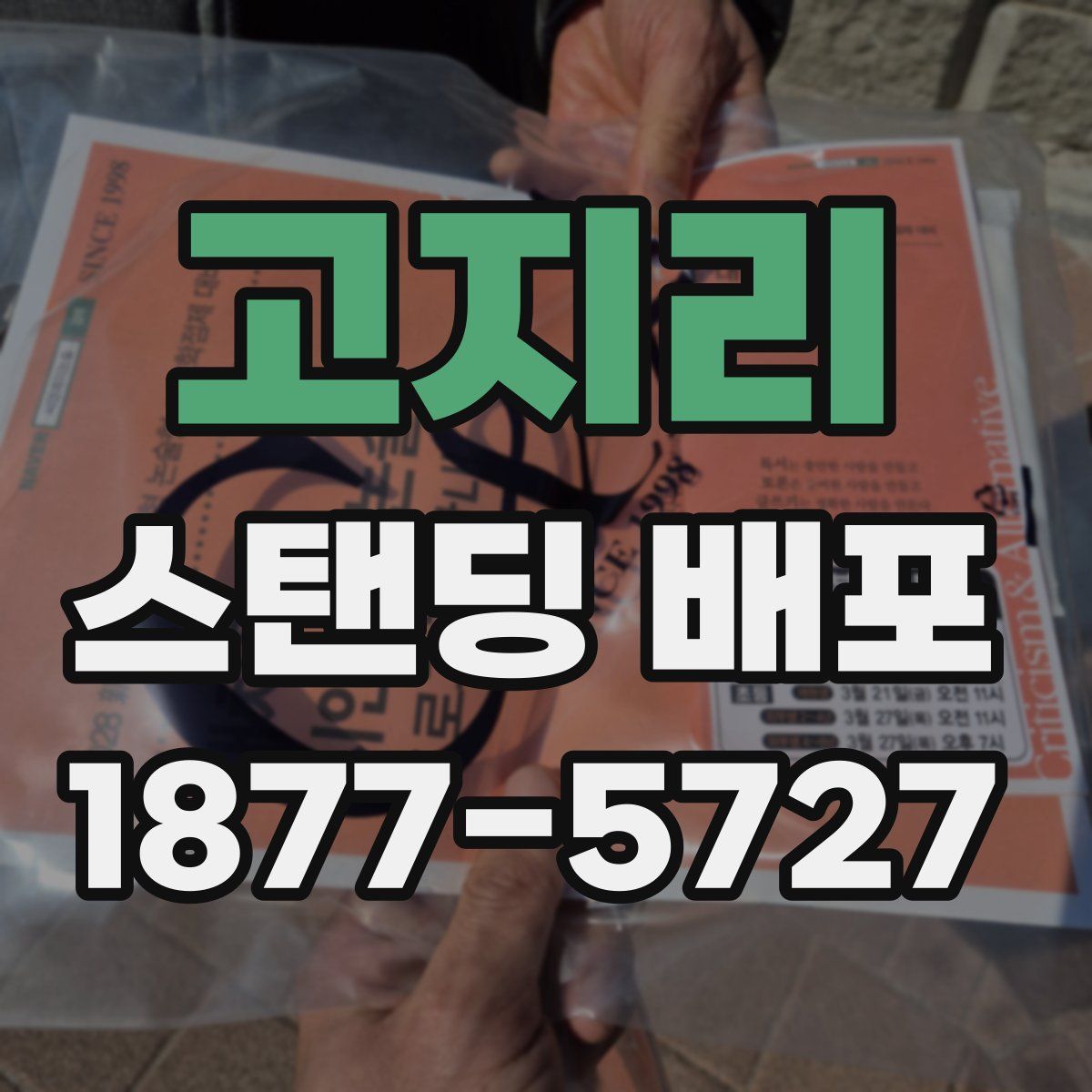고지리 스탠딩 배포