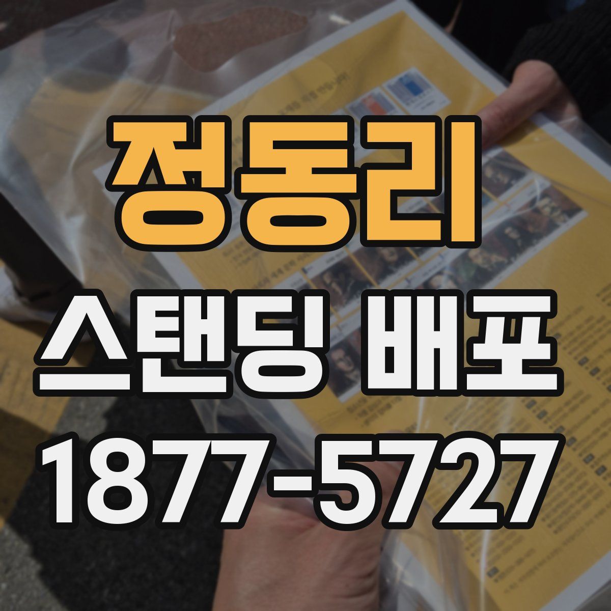 정동리 스탠딩 배포