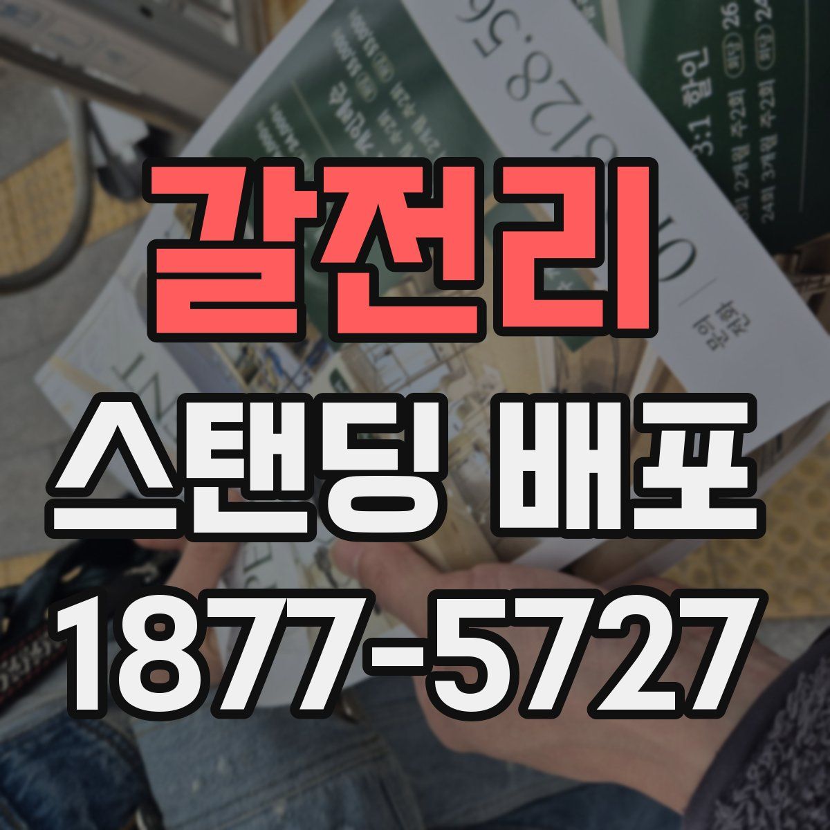 갈전리 스탠딩 배포