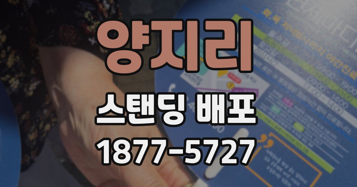 양지리 스탠딩 배포