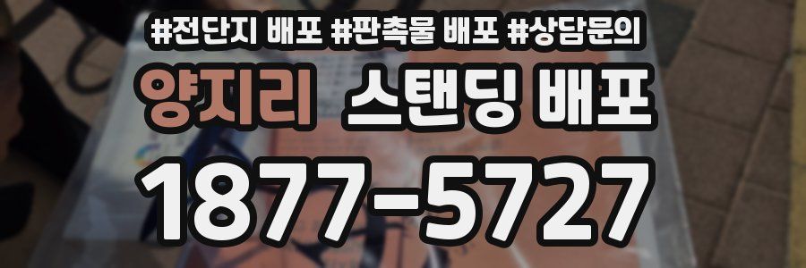양지리 스탠딩 배포