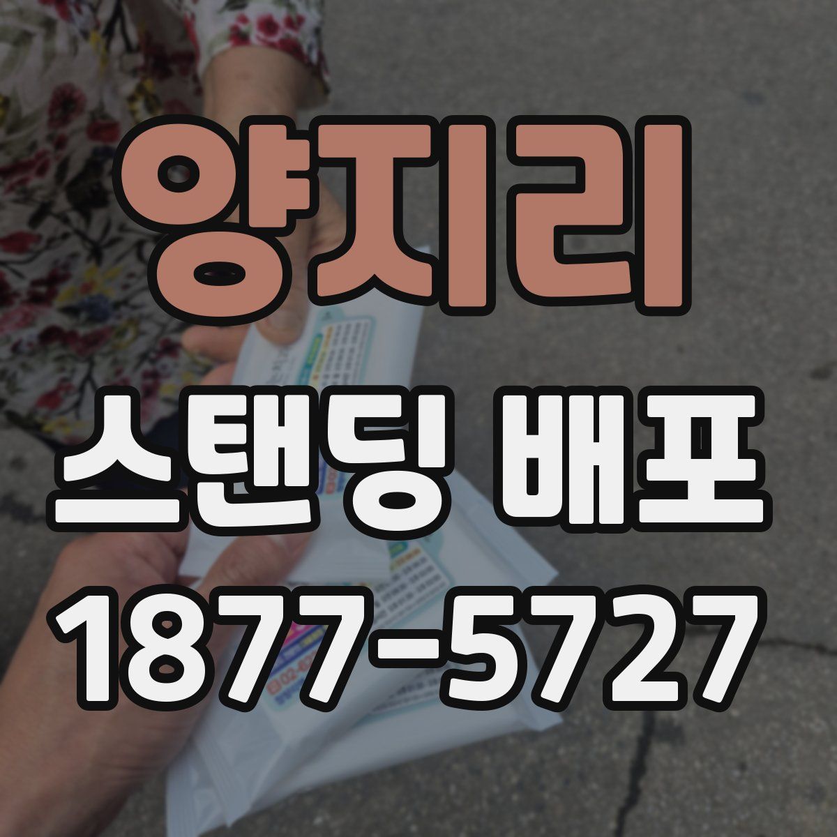 양지리 스탠딩 배포
