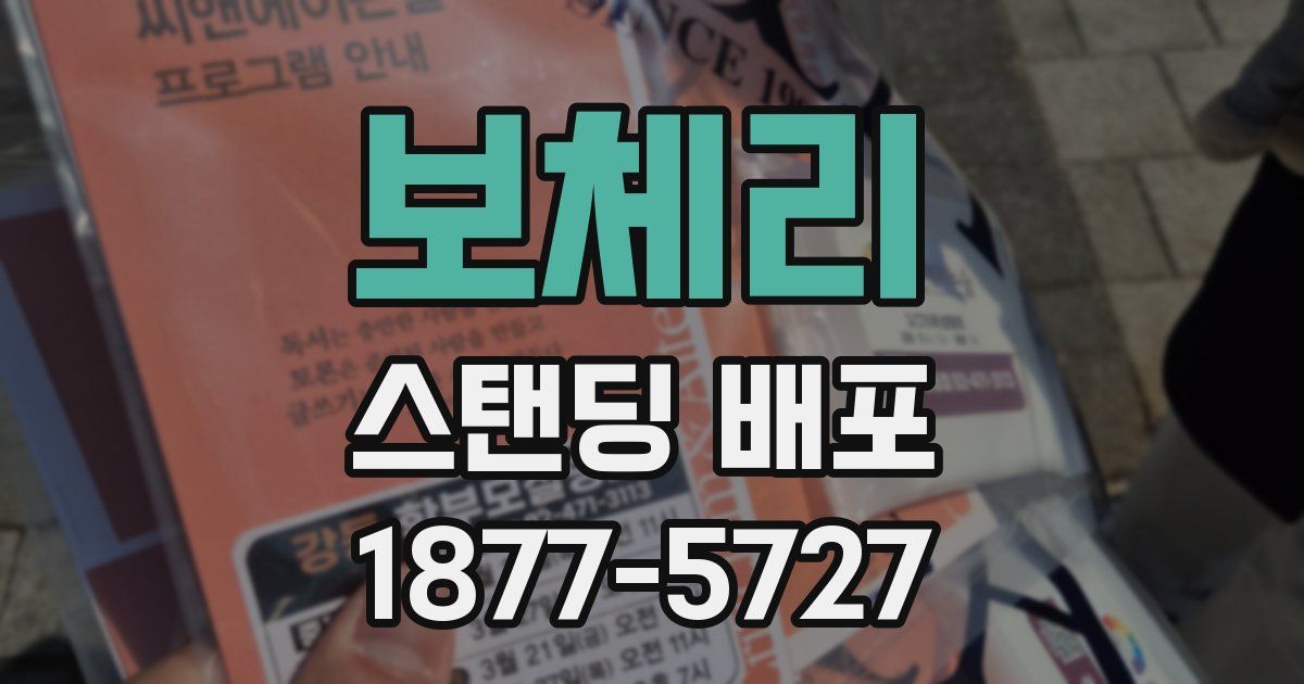 보체리 스탠딩 배포